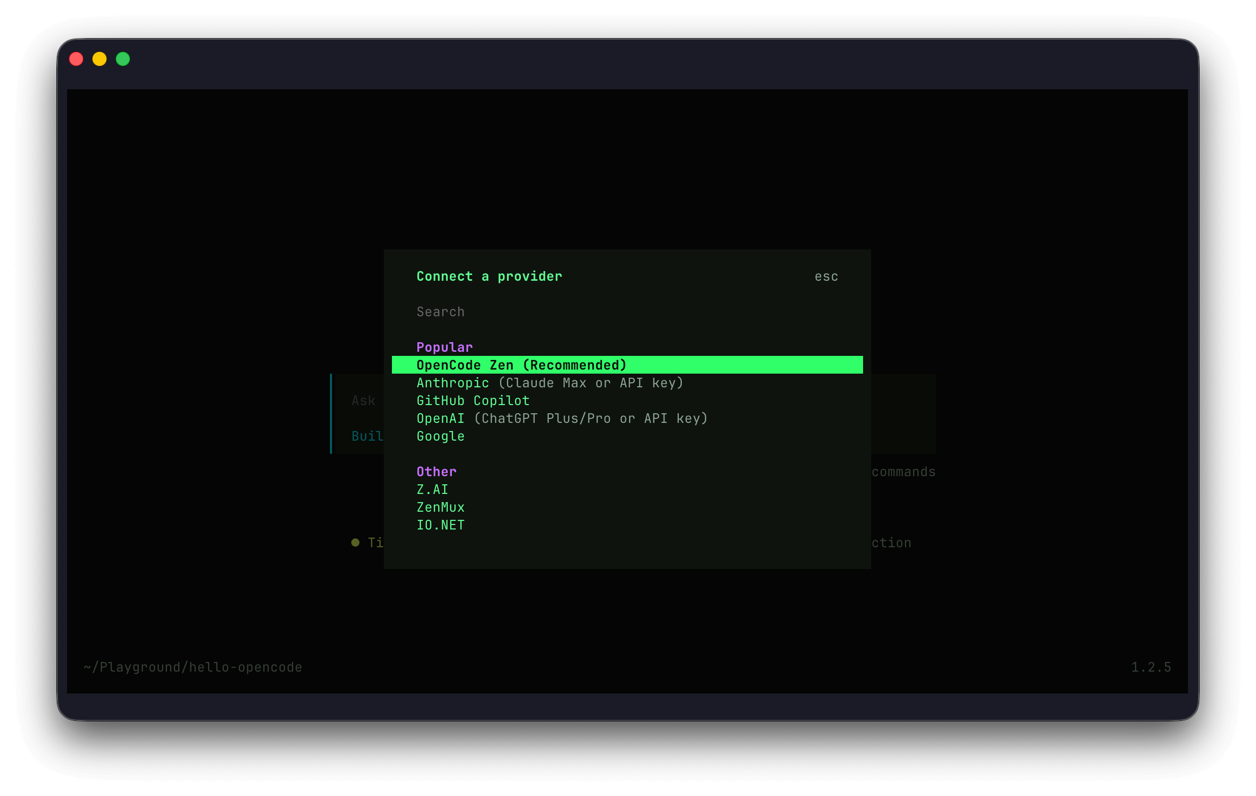 OpenCode connect provider